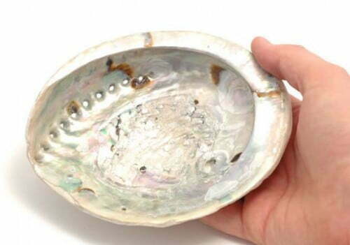 صدف مادر (mother of pearl)